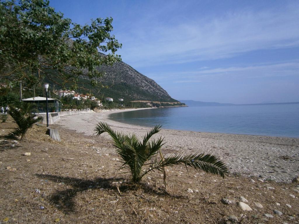 Petros Studios Poros  Extérieur photo